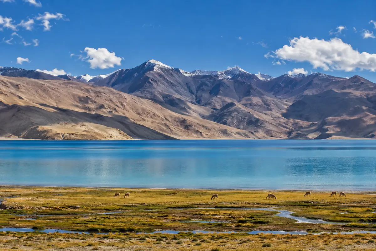 Leh Local Sightseeing Package - Ladakh tour photo 4