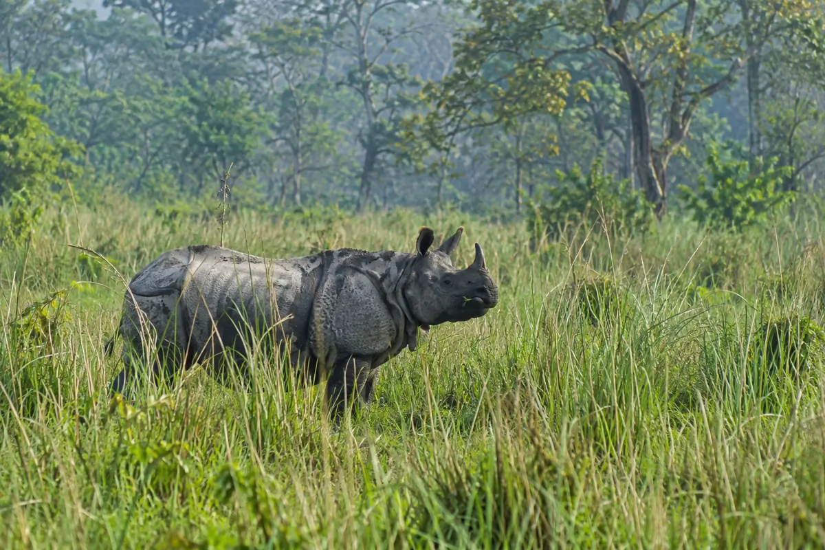 Kathmandu Heritage Package - Nepal tour photo 2