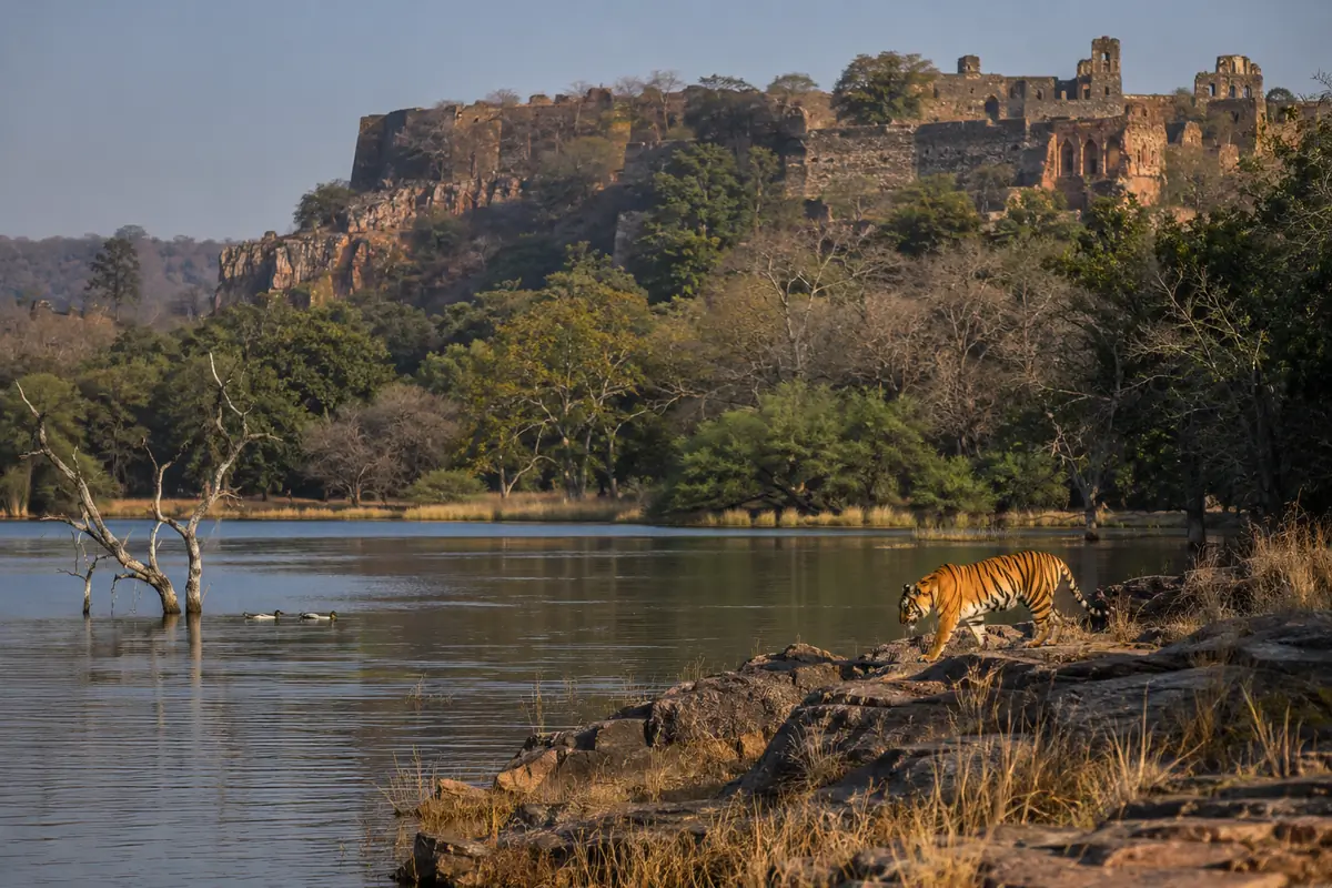 Rajasthan Complete Tour Package - Rajasthan tour photo 2
