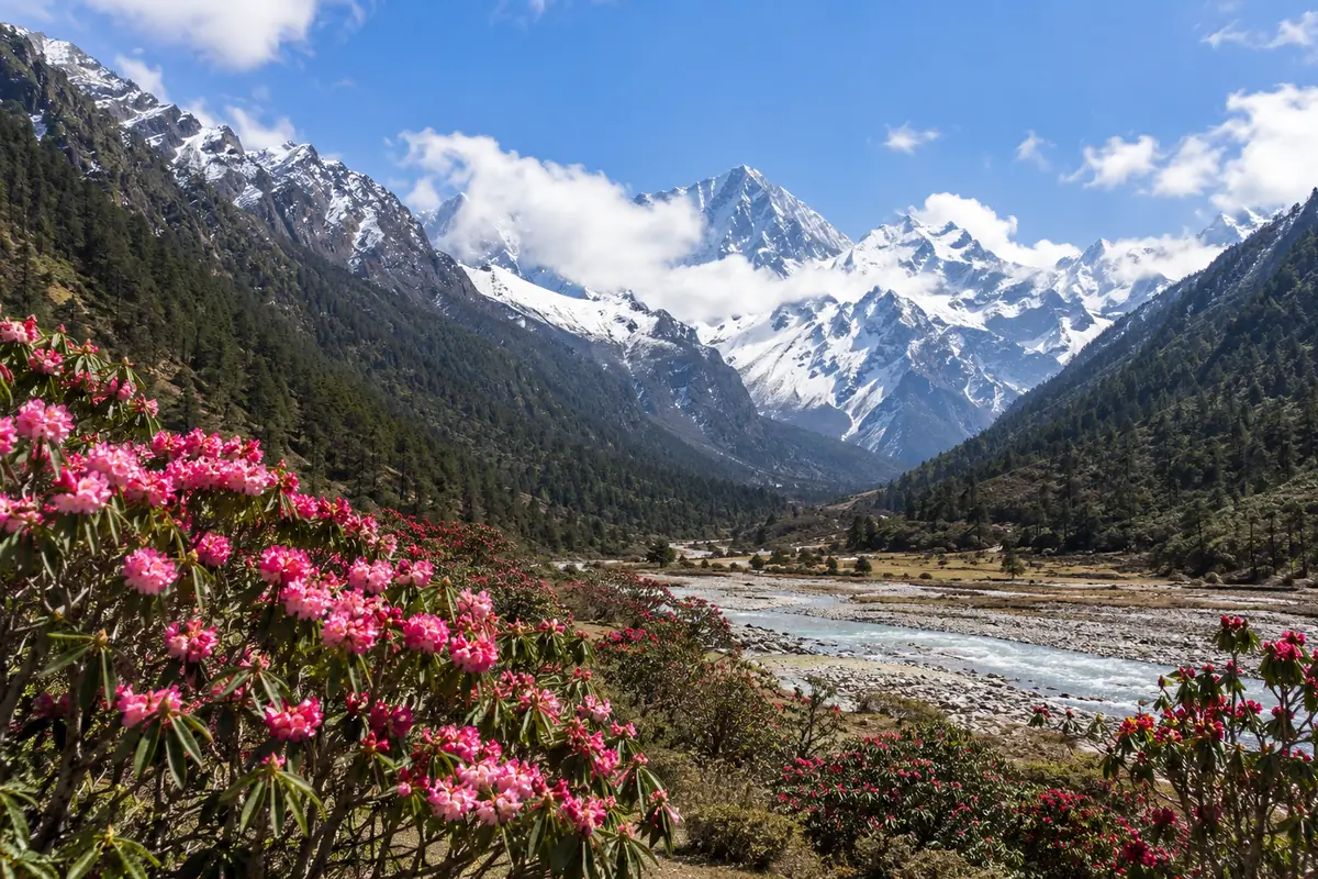 Sikkim Darjeeling Complete Package - Sikkim Darjeeling tour photo 1