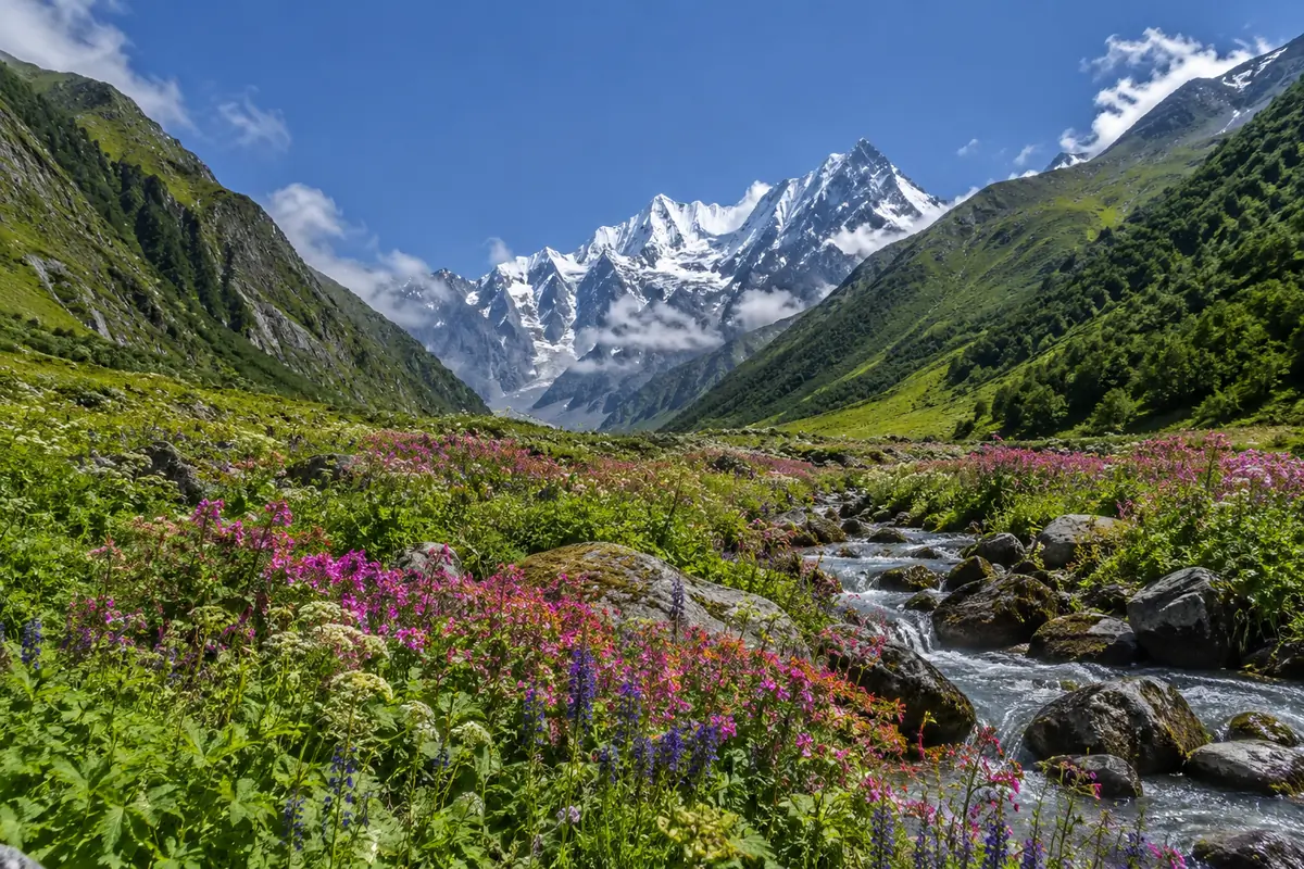 Auli Skiing Package - Uttarakhand tour photo 4