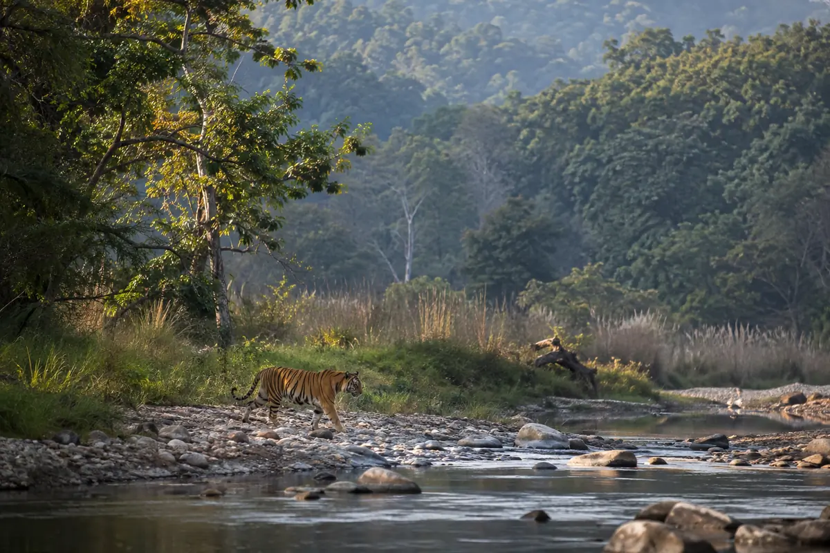 Rishikesh Adventure Package - Uttarakhand tour photo 2
